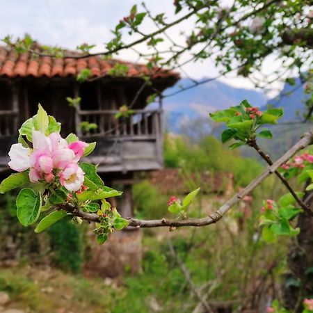 Casa La Parra Βίλα Villar de Vildas Εξωτερικό φωτογραφία